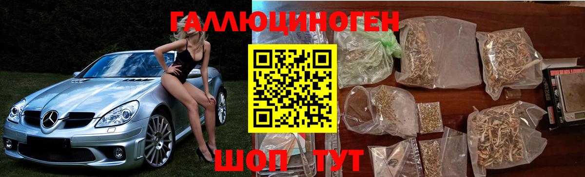 Псилоцибиновые грибы Psilocybine cubensis  Вход с VPN  Реутов 